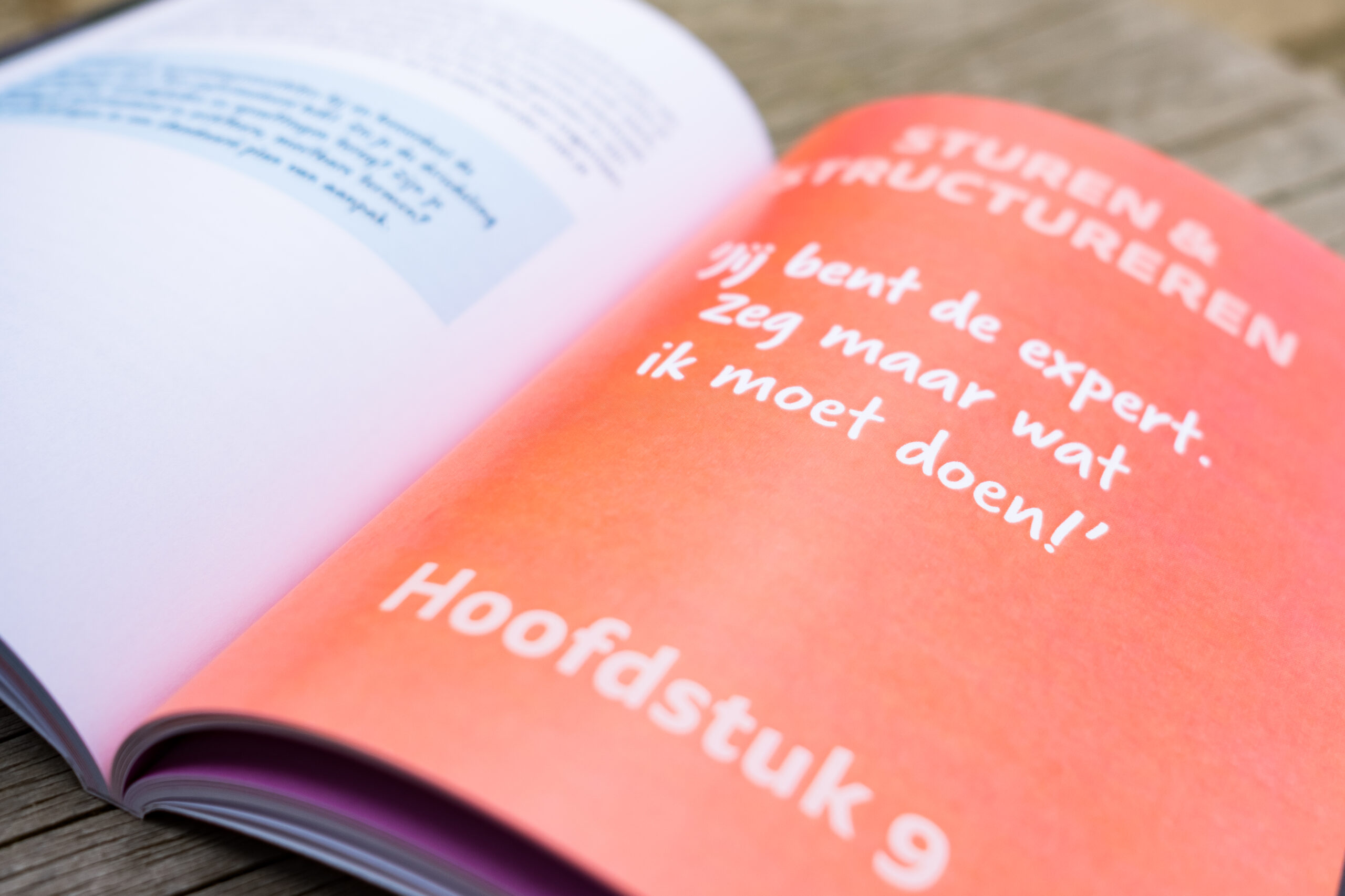 professional organizer opleiding