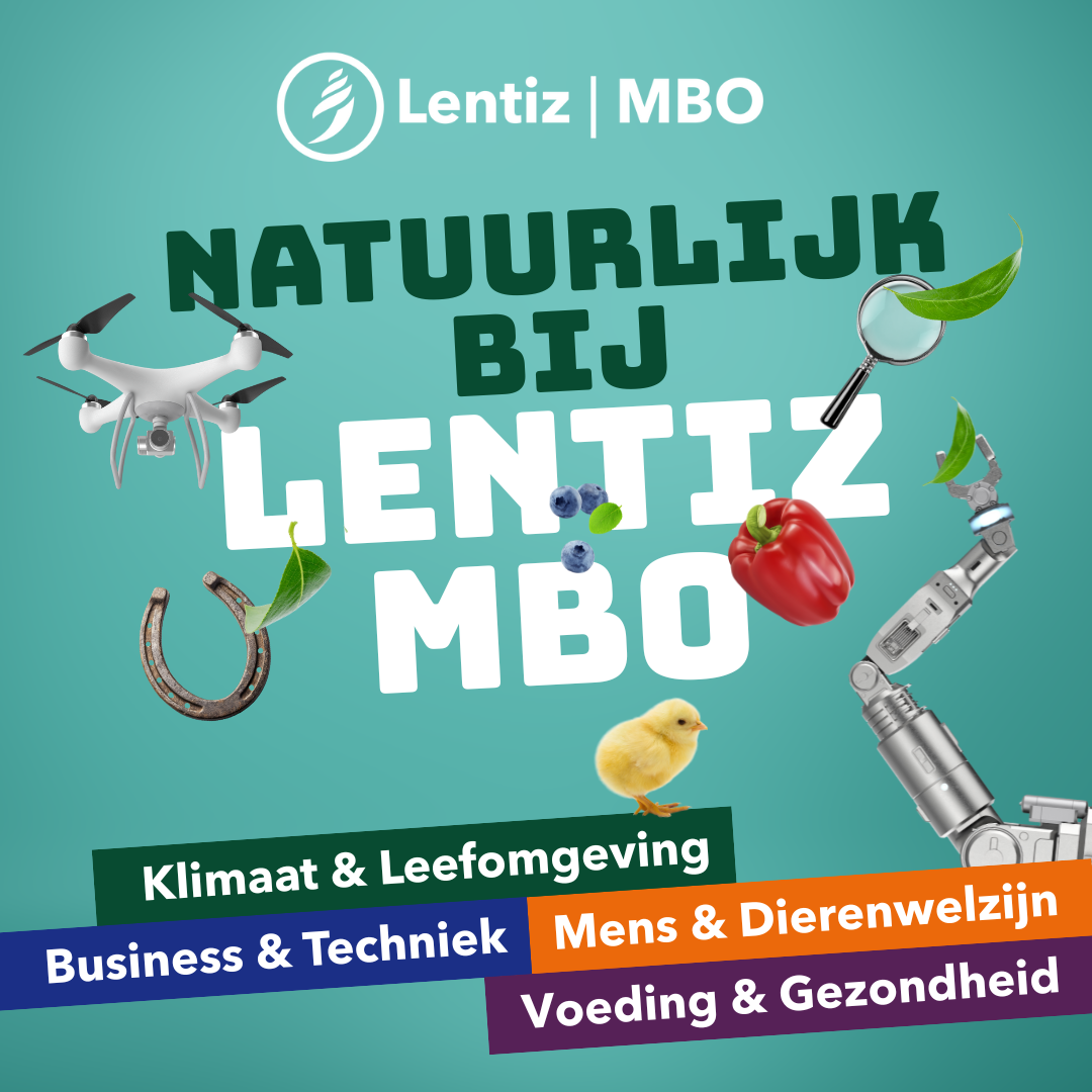 opleiding kiezen mbo