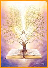 cursus spirituele ontwikkeling