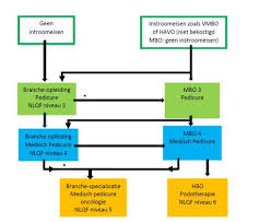 mbo 4 opleiding