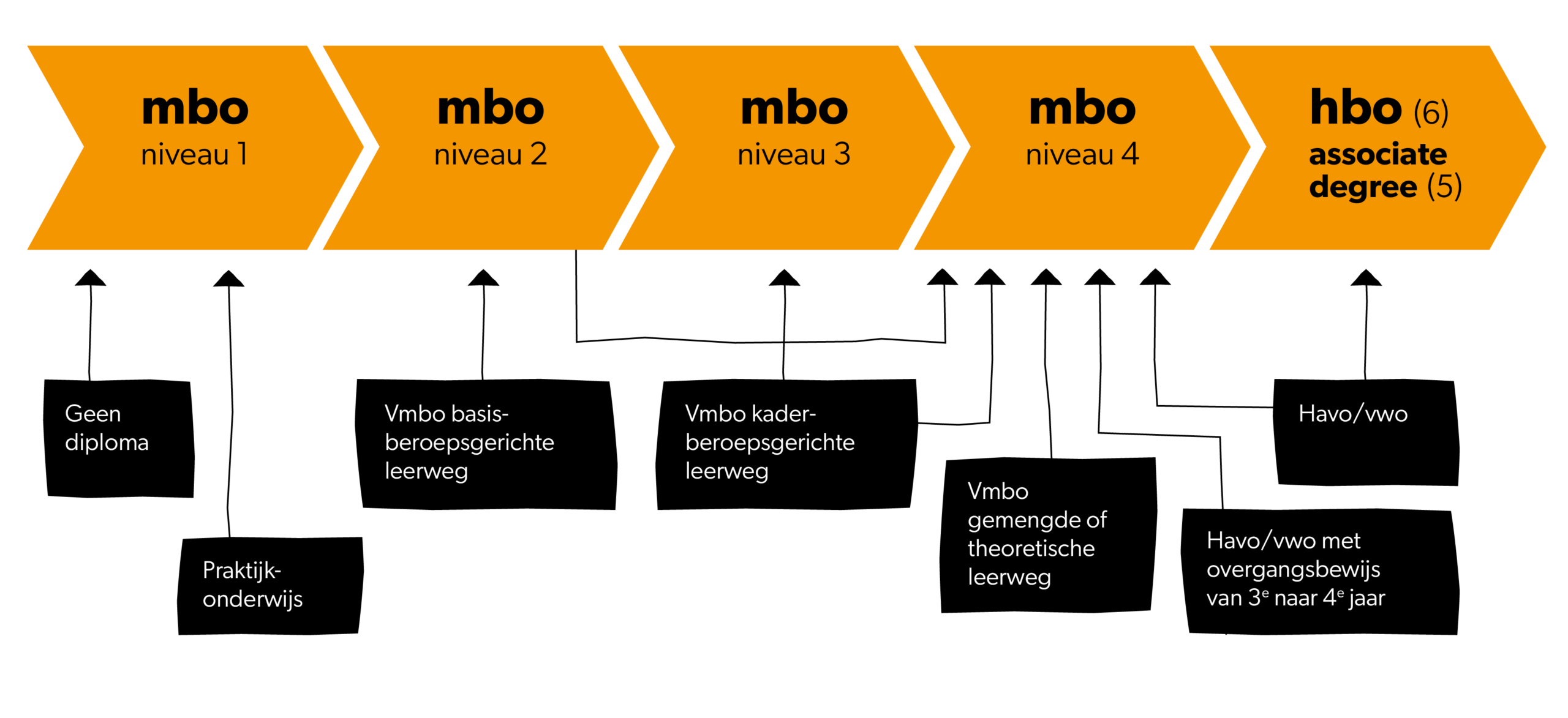 mbo niveau 3 opleidingen